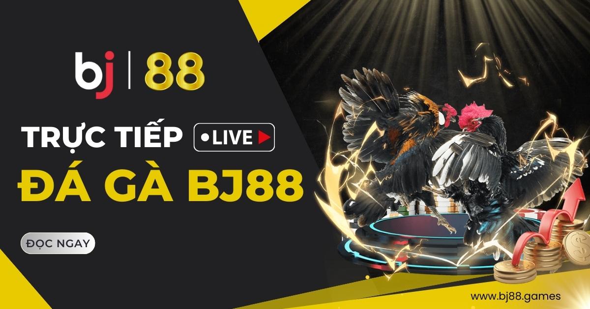 đá gà BJ88