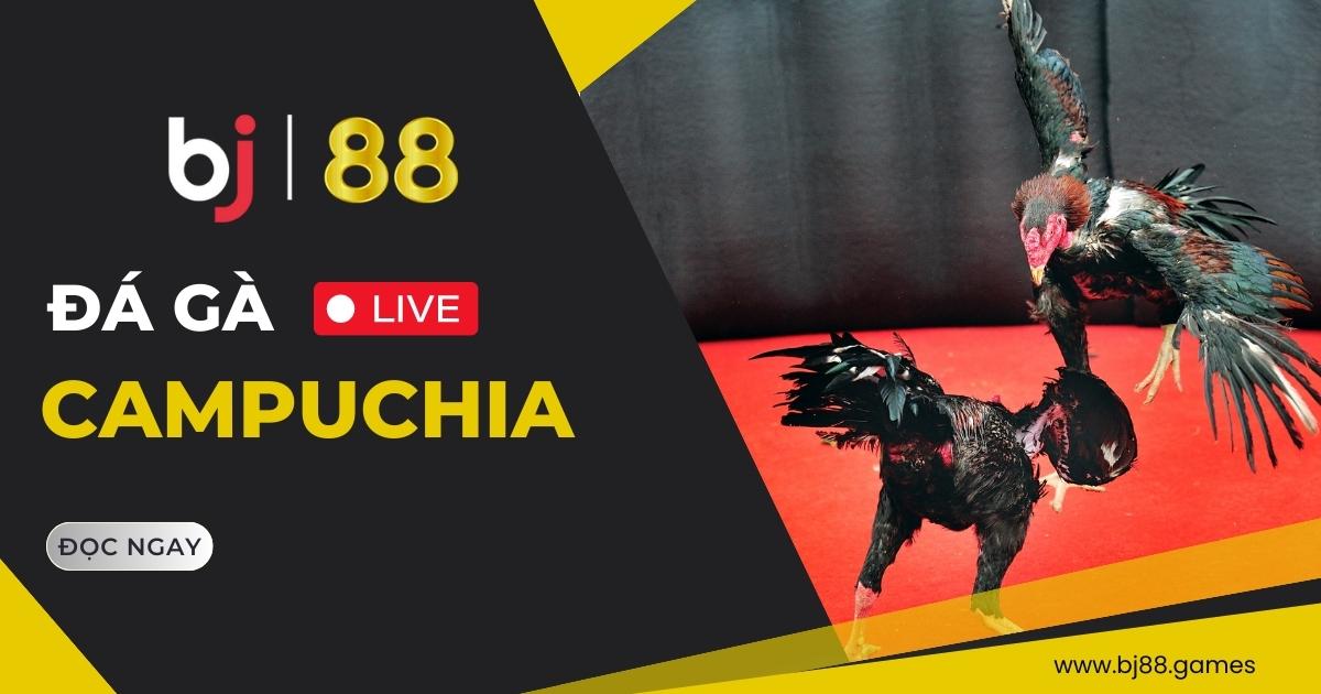 Đá gà Campuchia BJ88