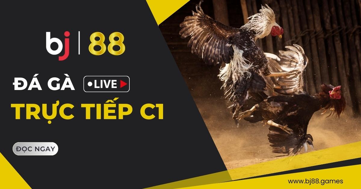 Đá gà Trực tiếp C1