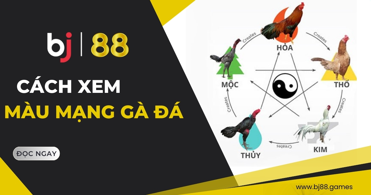 Màu mạng gà đá