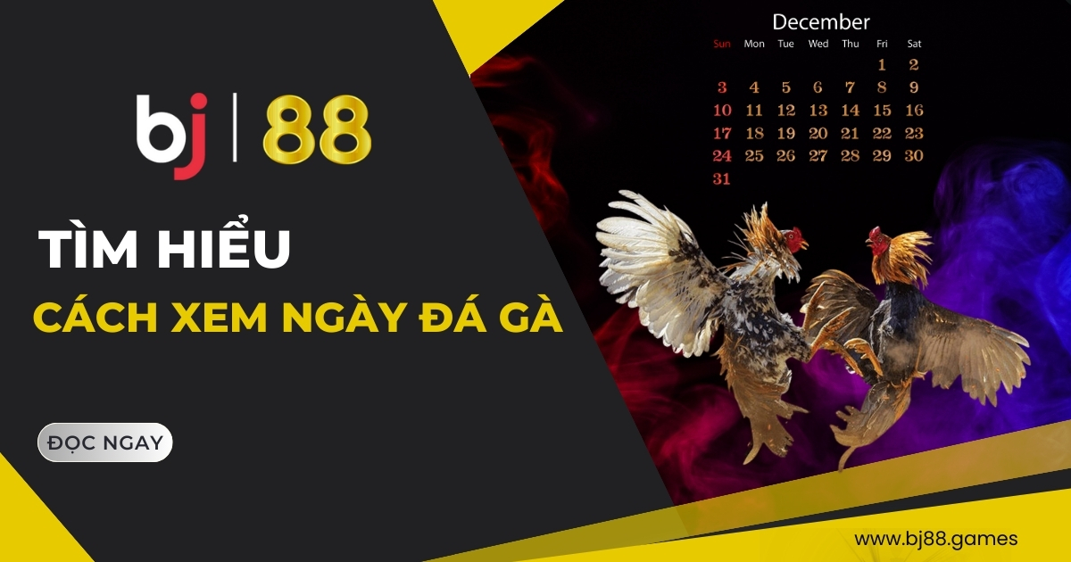 Xem ngày đá gà