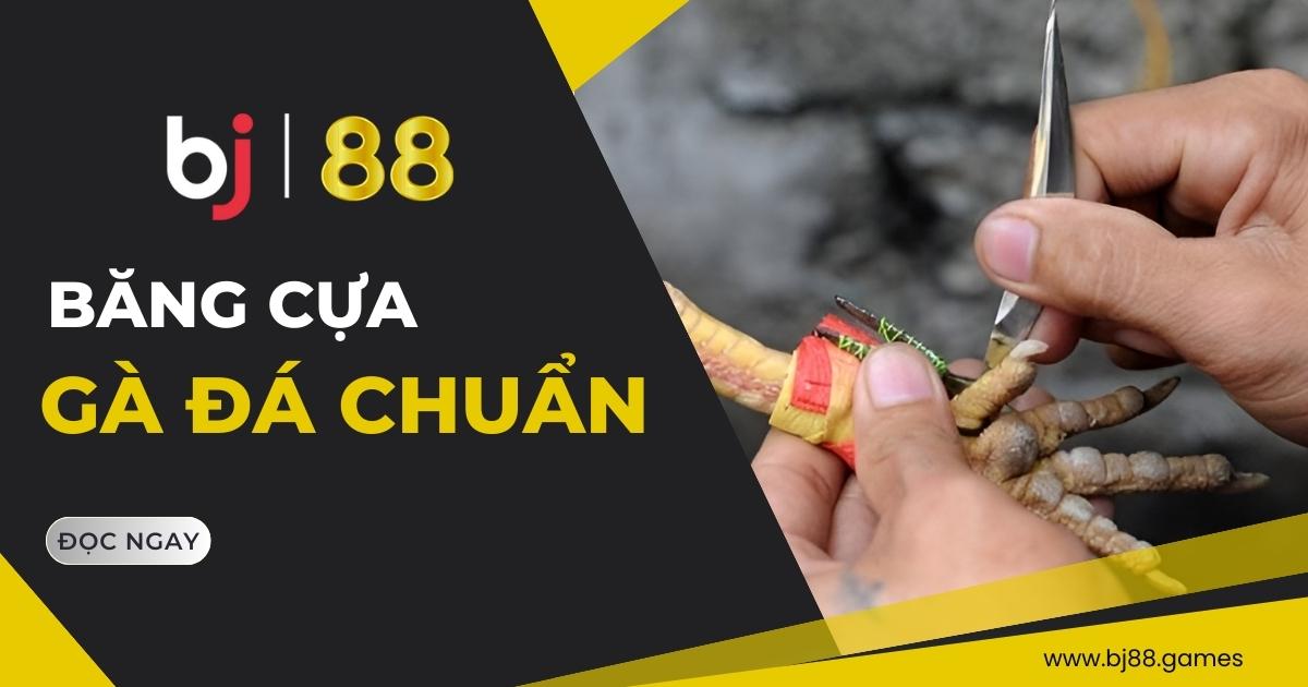 Cách băng cựa đà đá