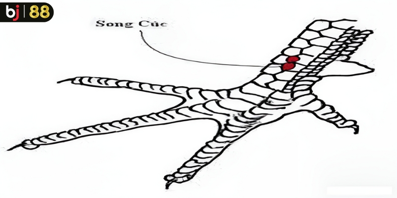 Vảy gà song cúc là tốt hay xấu? Có nên nuôi không?