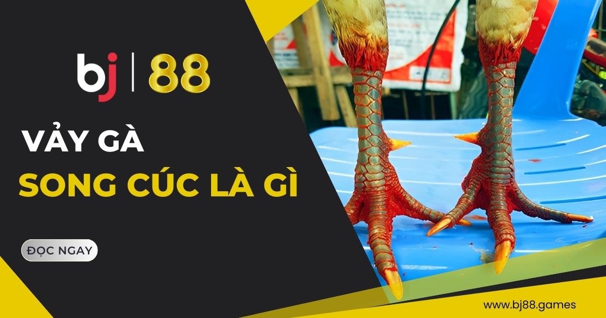 Vảy gà song cúc
