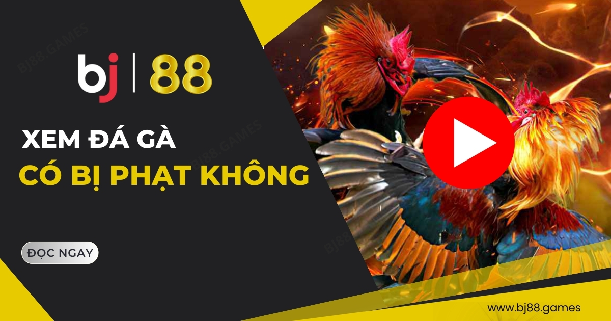 Xem đá gà có bị phạt không?